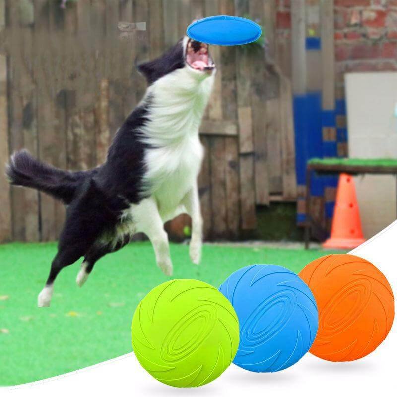 Durable & Flexible Silicone Flying Disc for Dog