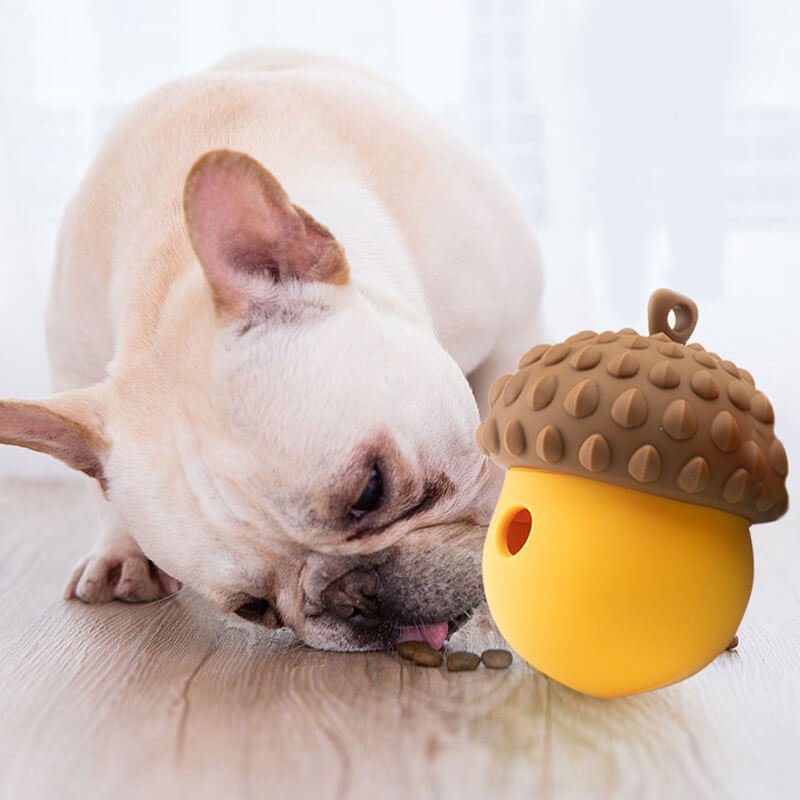 Silicone Slow Feeding Toy Anti-Gulping Dog Bowl