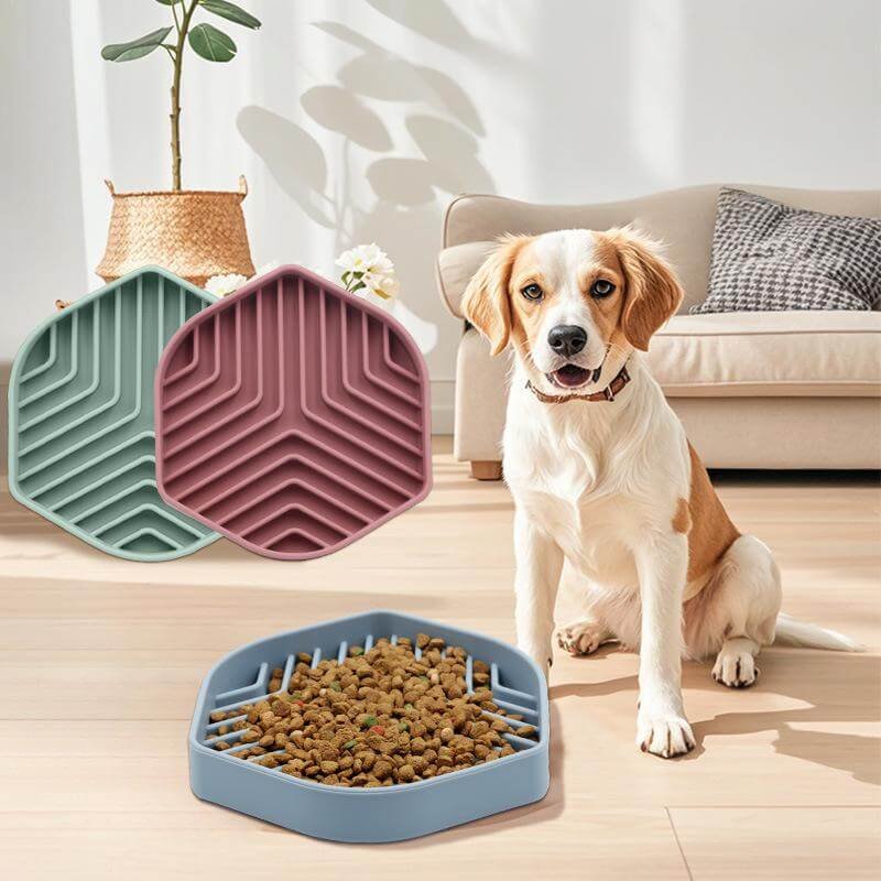 custom dog silicone bowl manufacturer
